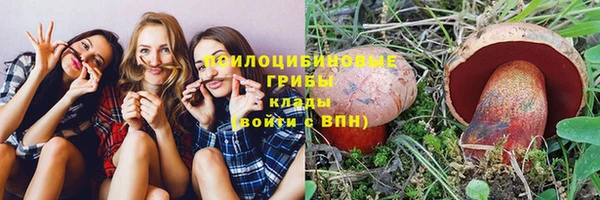 молекула духа Лагань